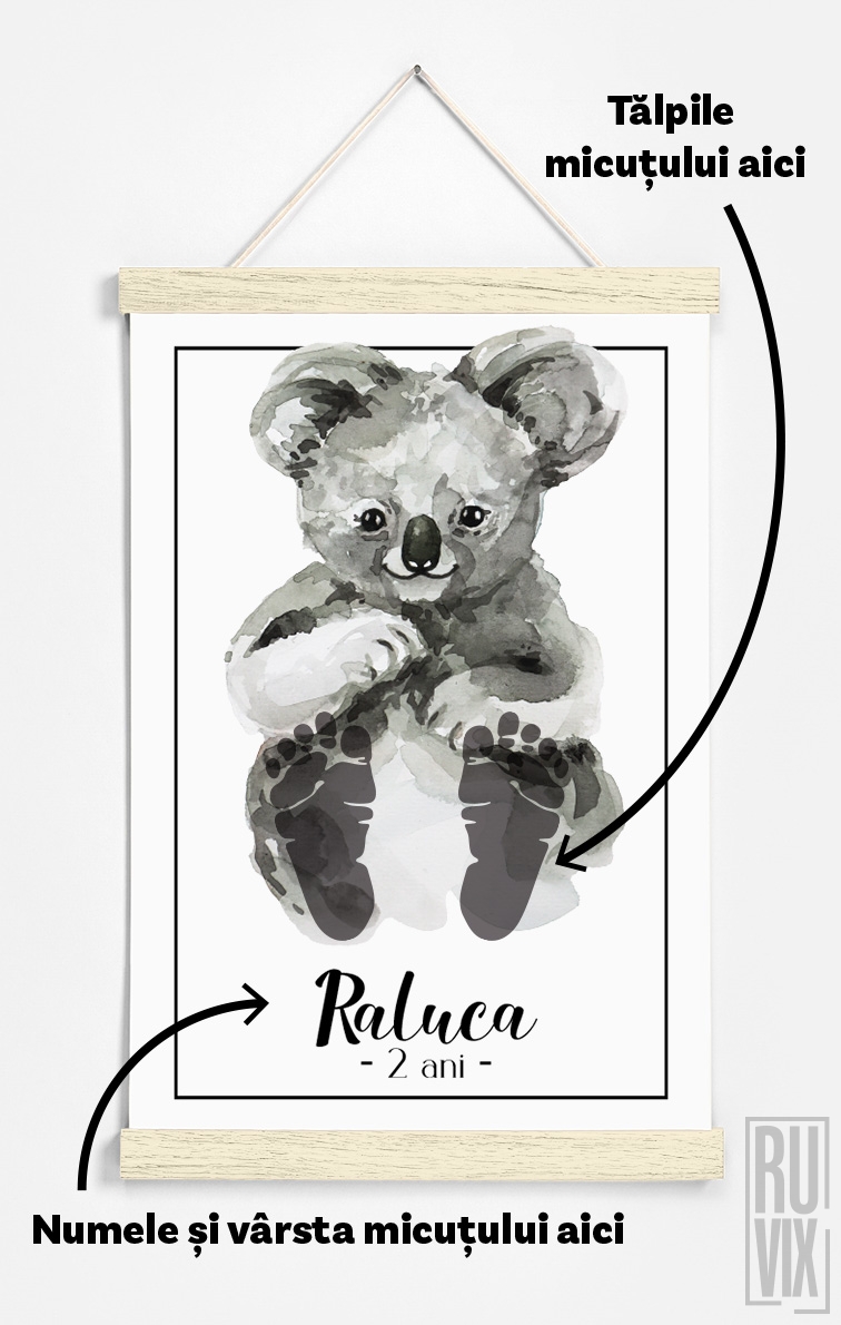 Urs Koala Drăgălaș - KIT BABY STEPS