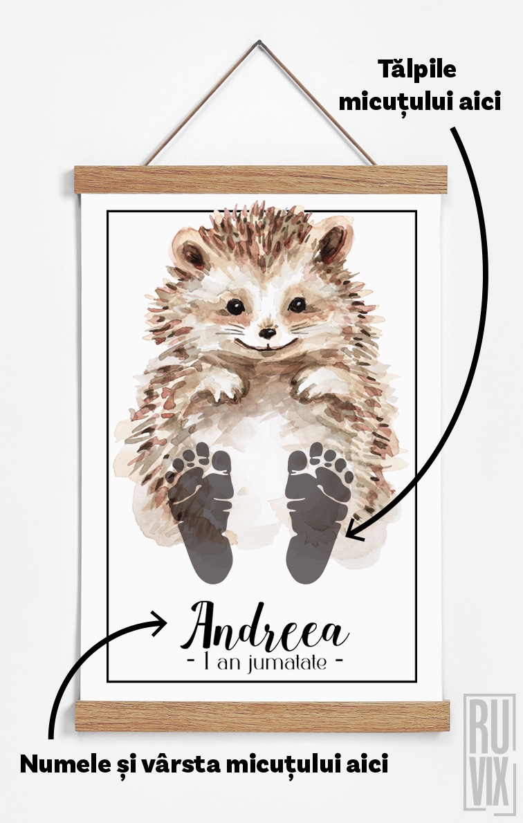 Arici Adorabil - KIT BABY STEPS
