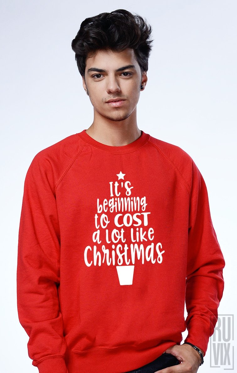 Sweatshirt Cost like Christmas