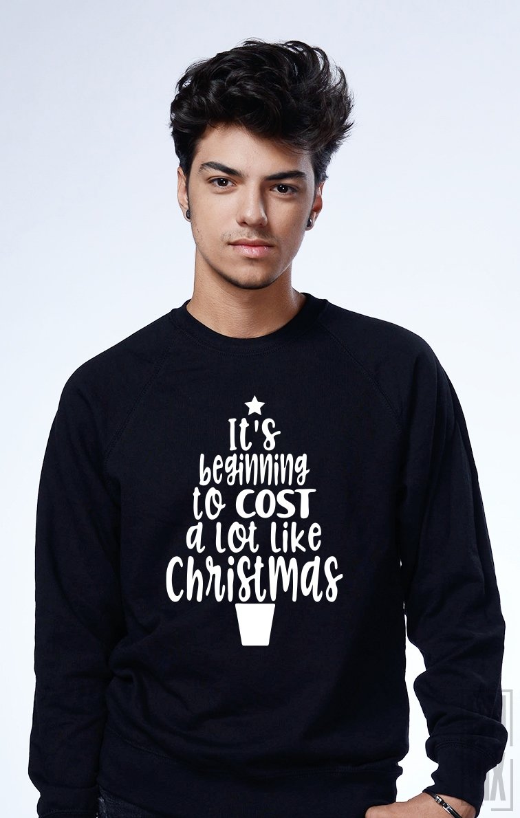 Sweatshirt Cost like Christmas